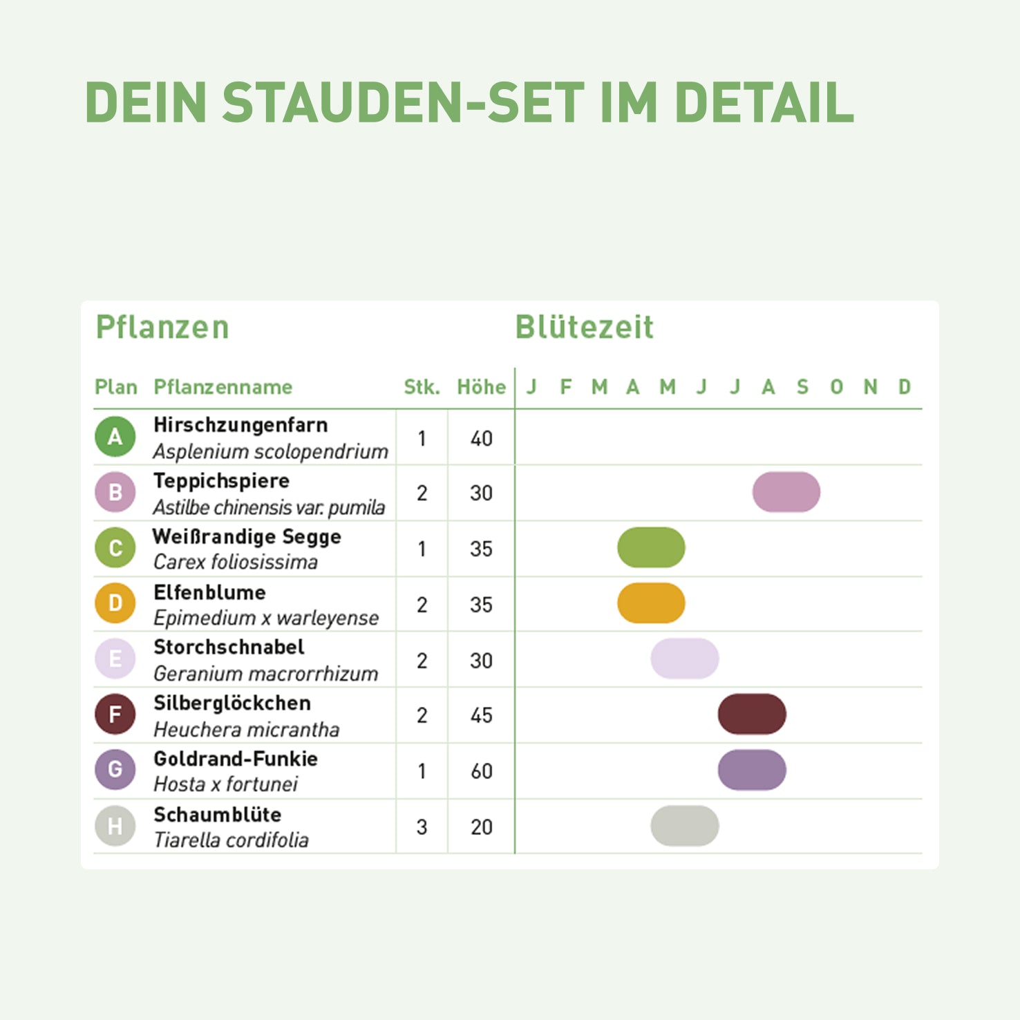 Inhalt und Blütezeit für pflegeleichtes Stauden-Set Schatten