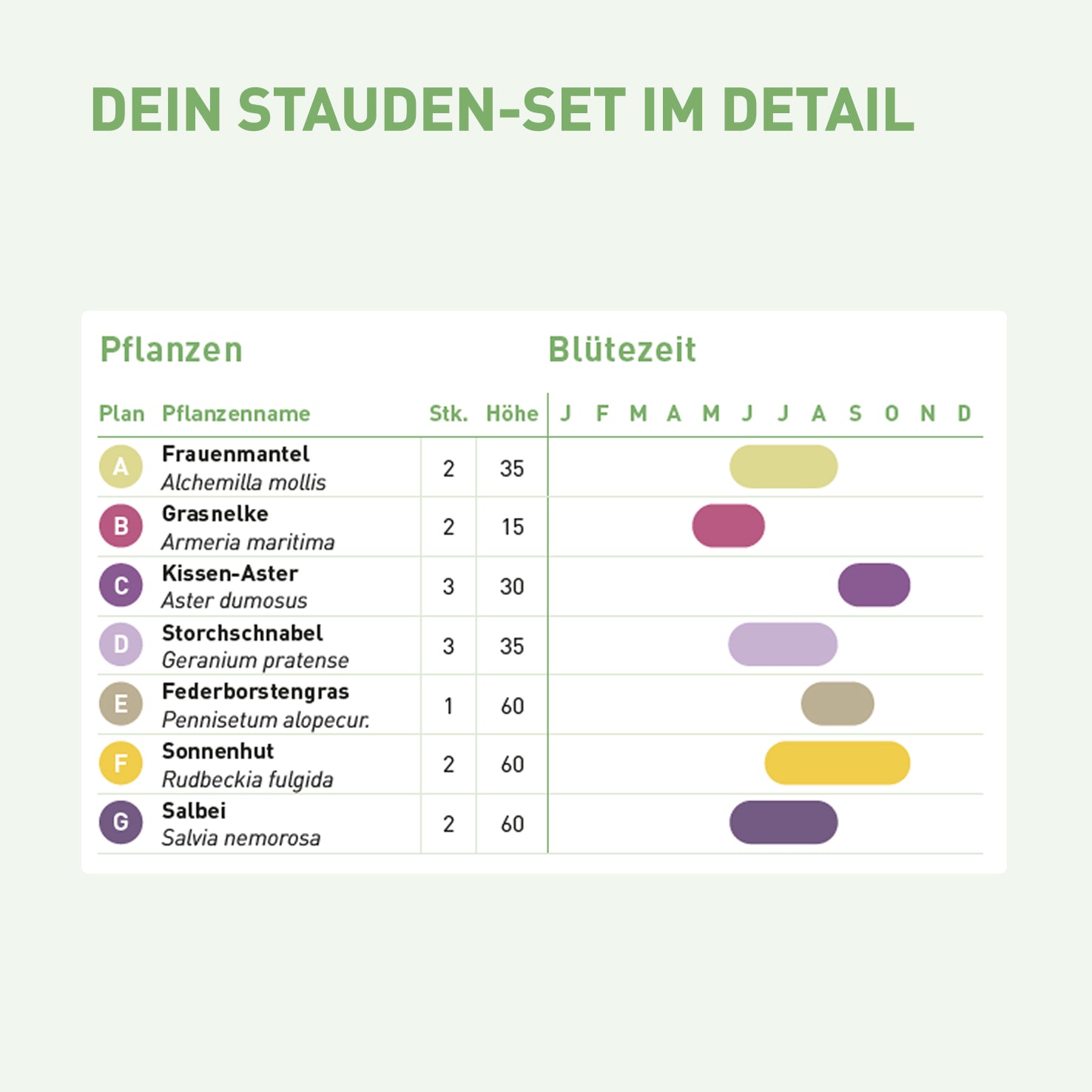 Inhalt und Blütezeit für pflegeleichtes Stauden-Set Sonne