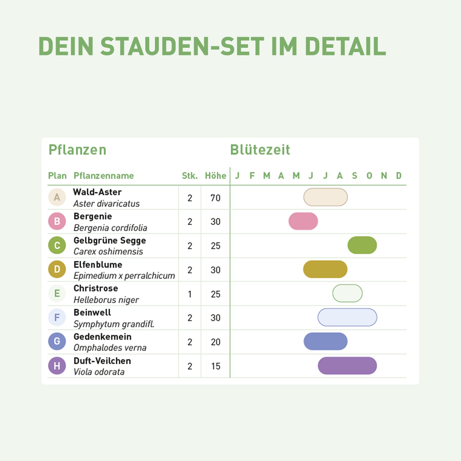 Inhalt und Blütezeit für trockenheitsresistentes Staudenbeet für Schatten