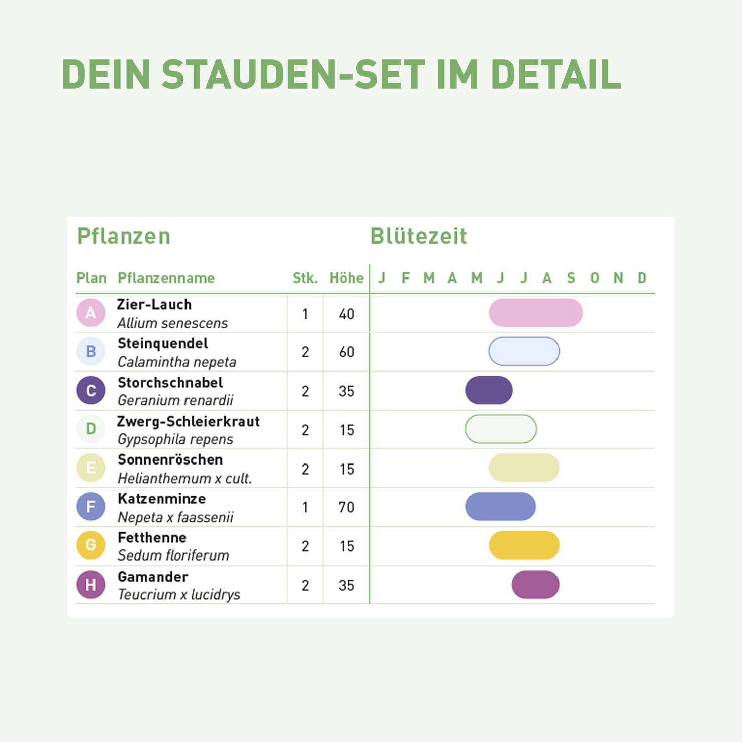 Inhalt und Blütezeit für trockenheitsresistentes Staudenbeet für Sonne