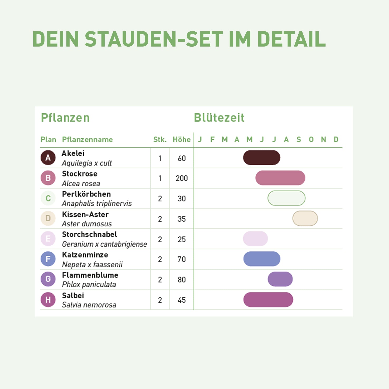 Inhalt und Blütezeit für winterhartes Staudenbeet in Weiß-Violett