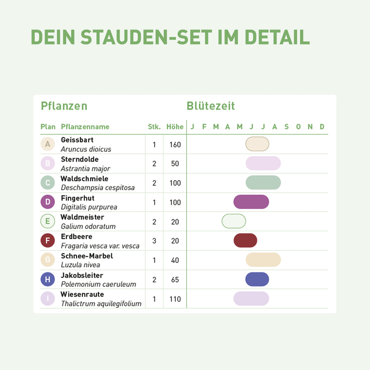 Inhalt und Blütezeit für Wildstauden-Set Schatten