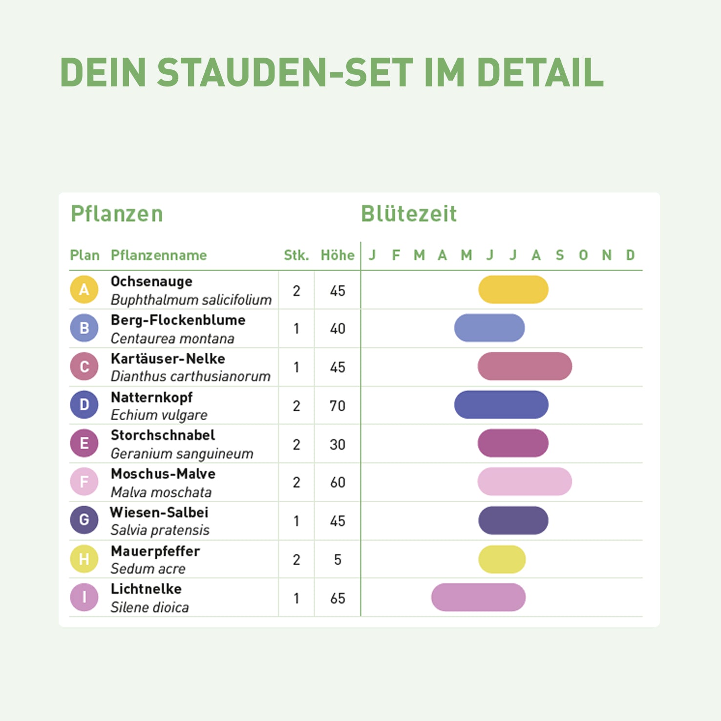 Inhalt und Blütezeit für Wildstauden-Set Sonne