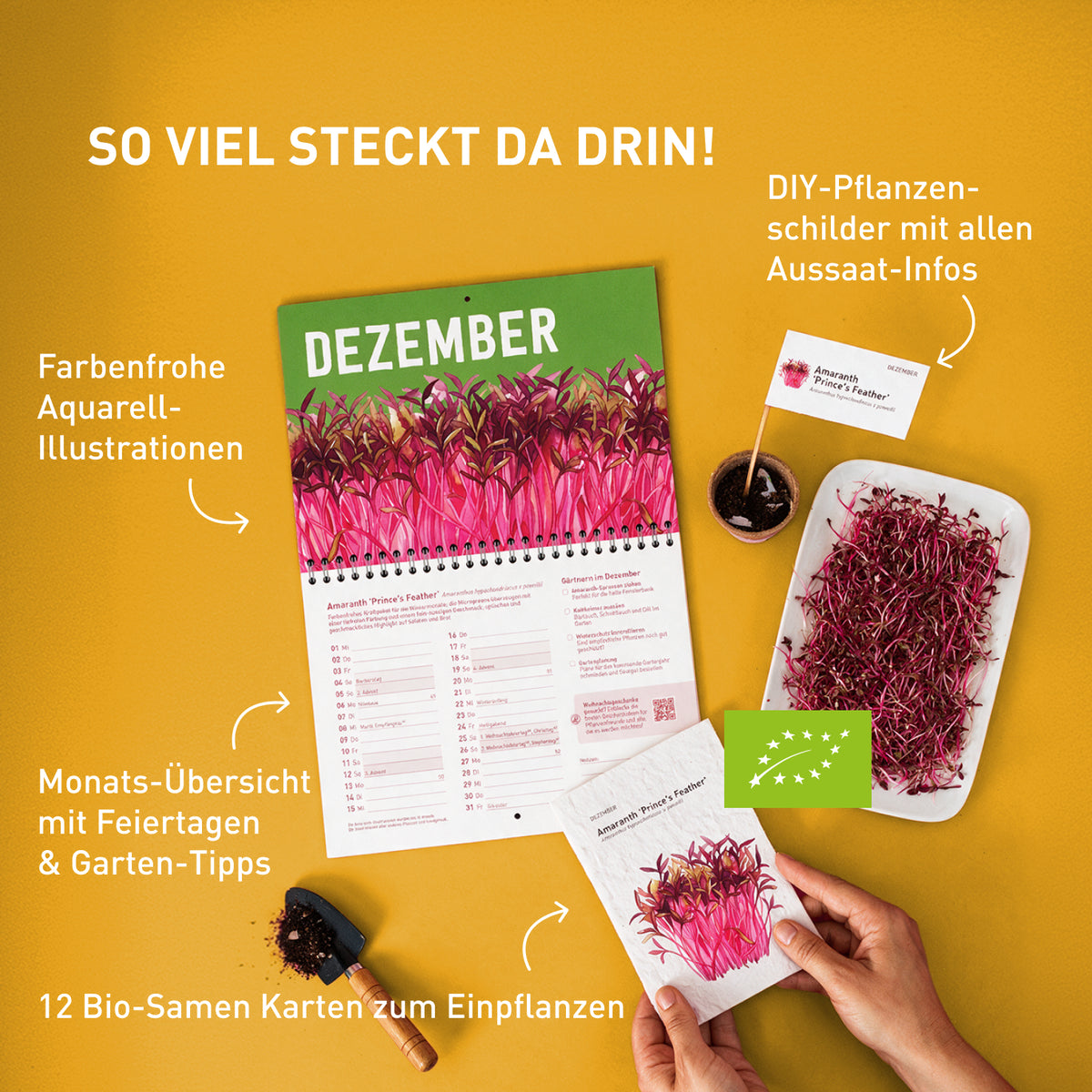 Inhalt des Plantura Samenkalenders