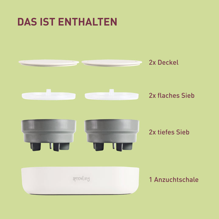 Inhalt der großen Sprossen-Anzuchtschale