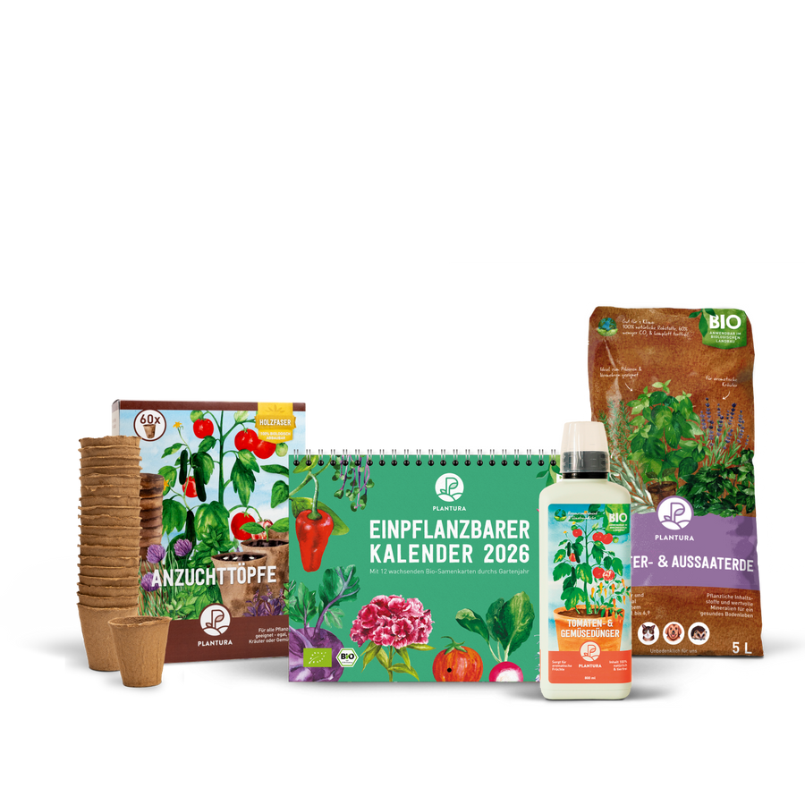 Kalender Geschenk-Set