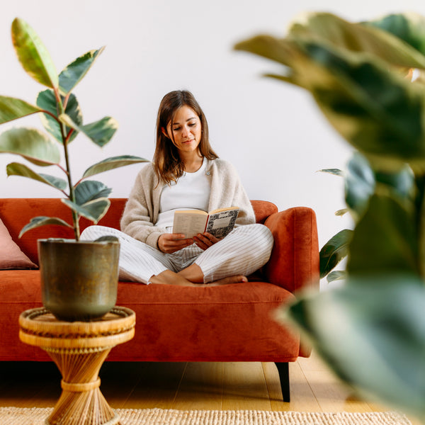 Großer Keramik Übertopf Olivgrün im Wohnzimmer