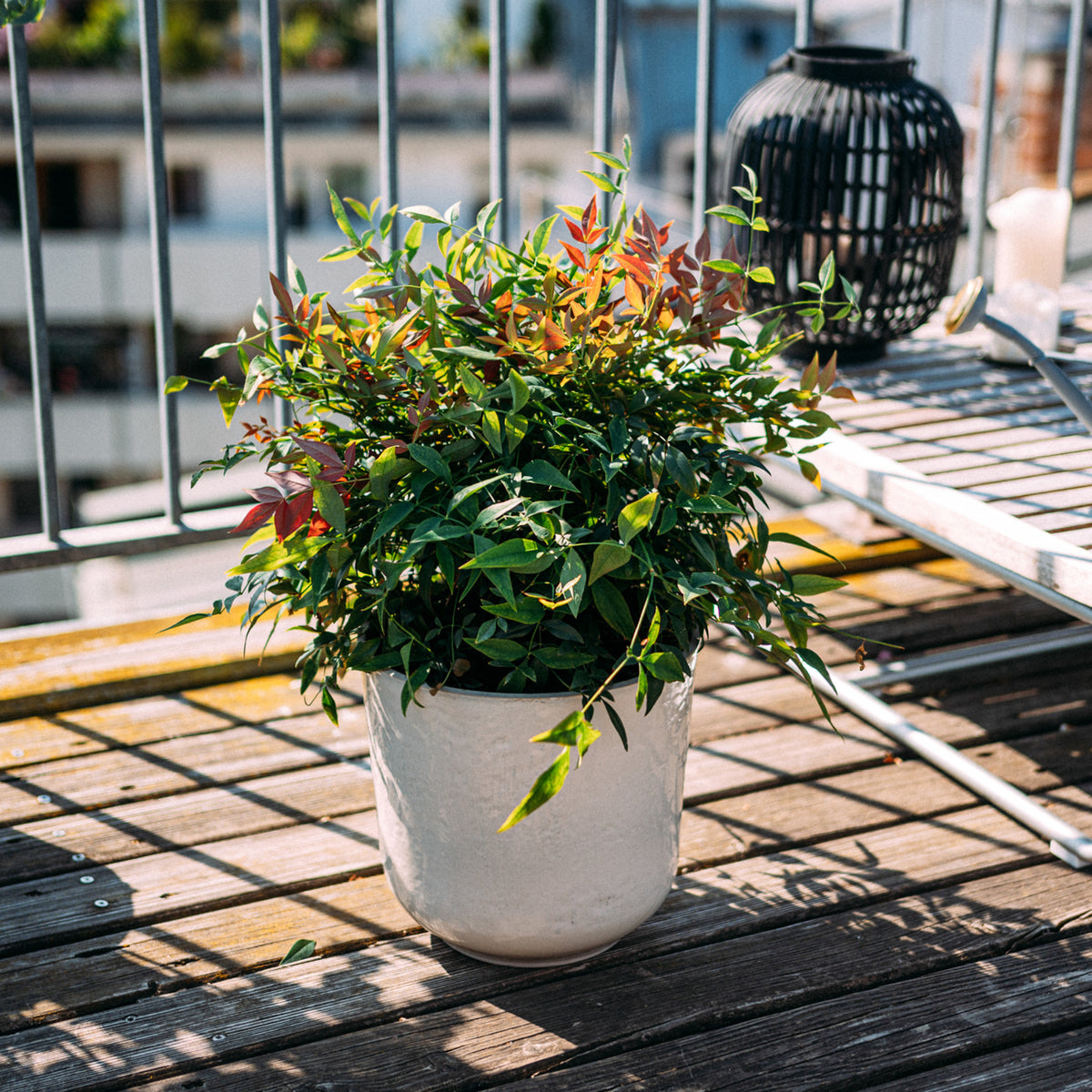 Keramik Blumentopf Sand auf Balkon