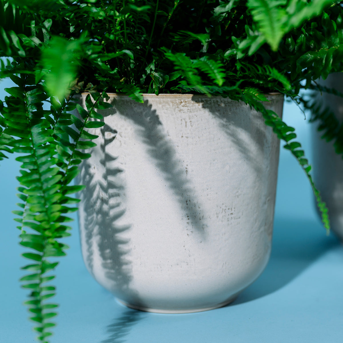 Material des Keramik Blumentopfes Sand für innen