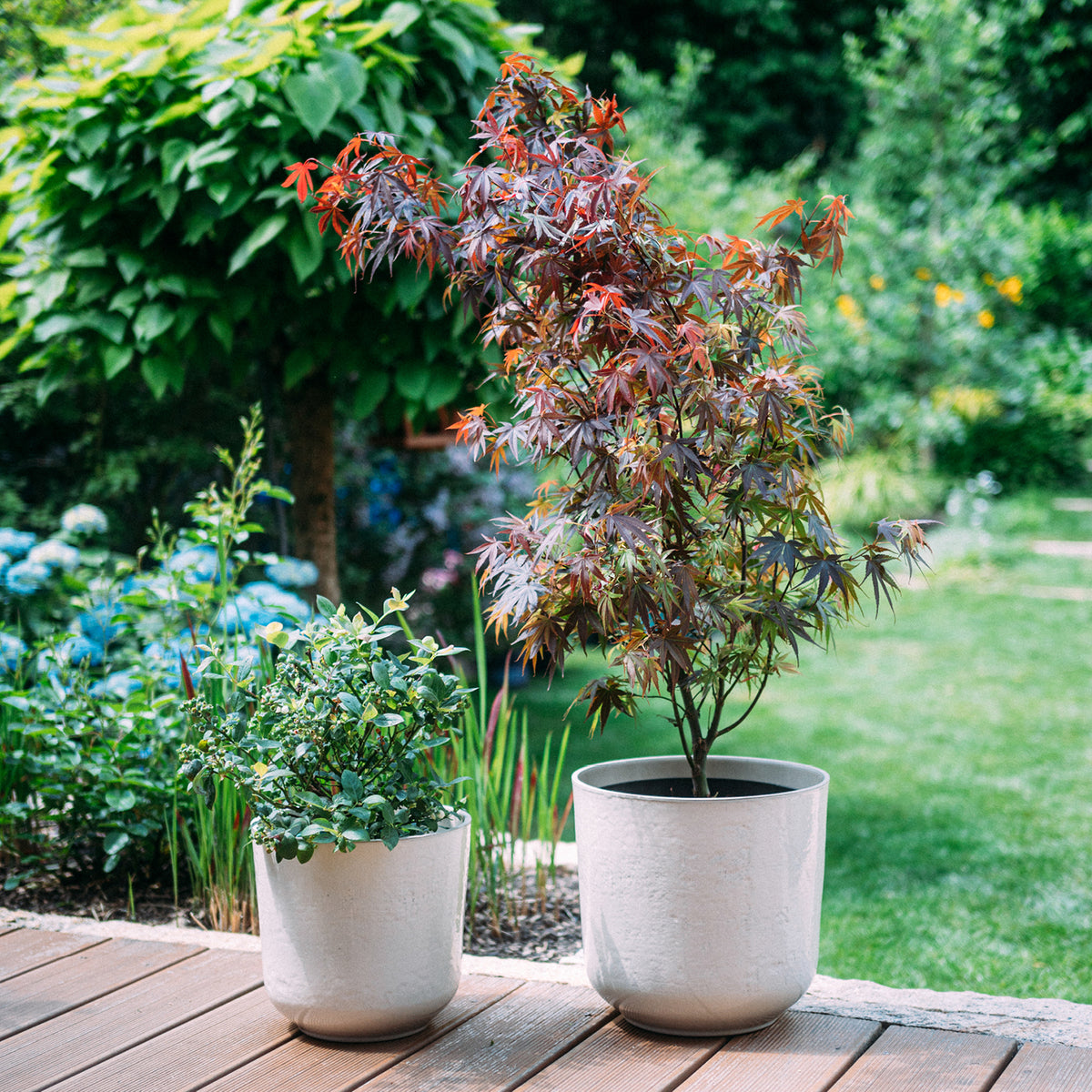 Beige Keramik Blumentöpfe auf Terrasse