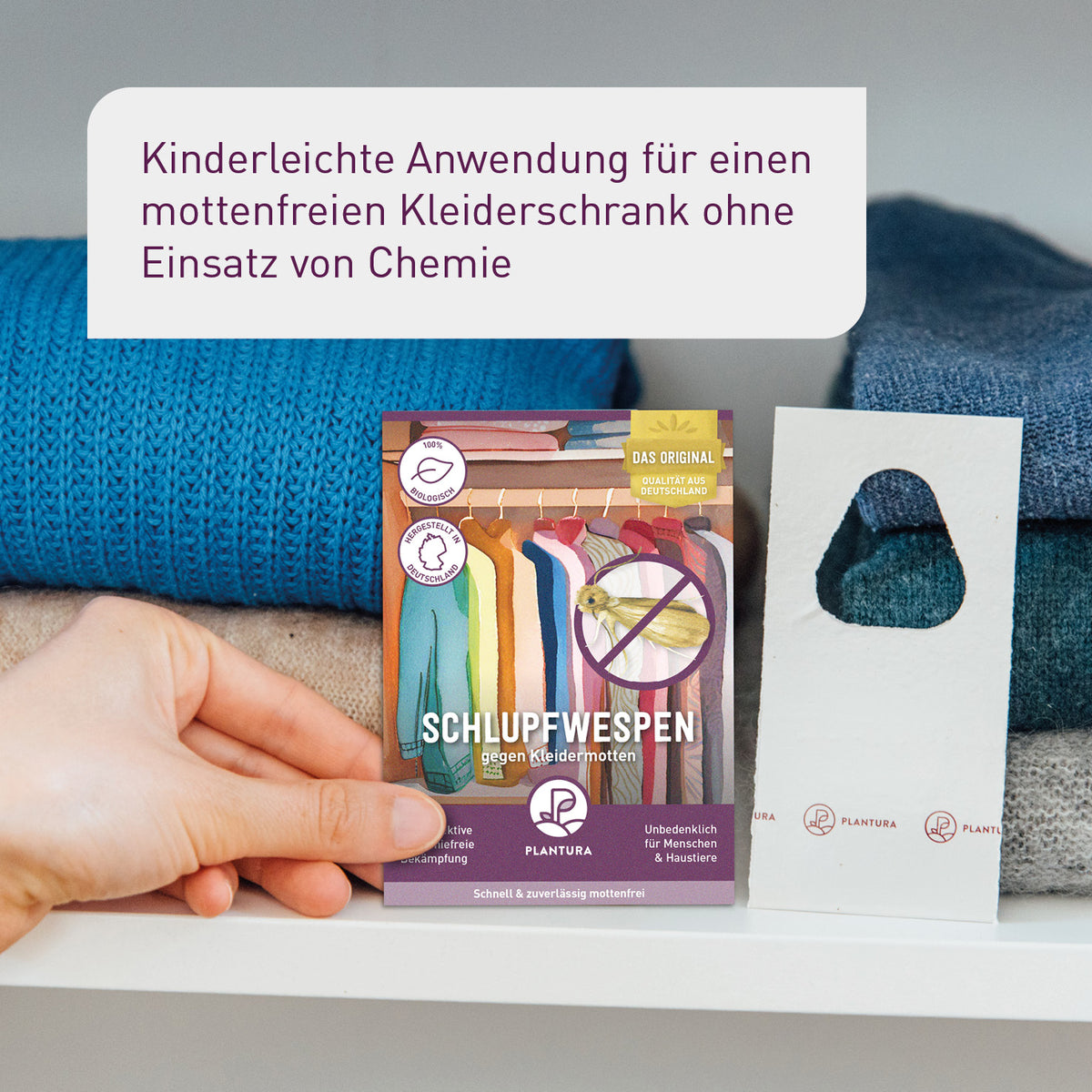 Kleidermotten mit Schlupfwespen bekämpfen