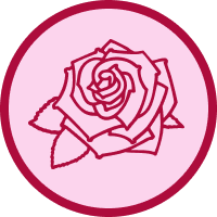 Qualität von Kordes