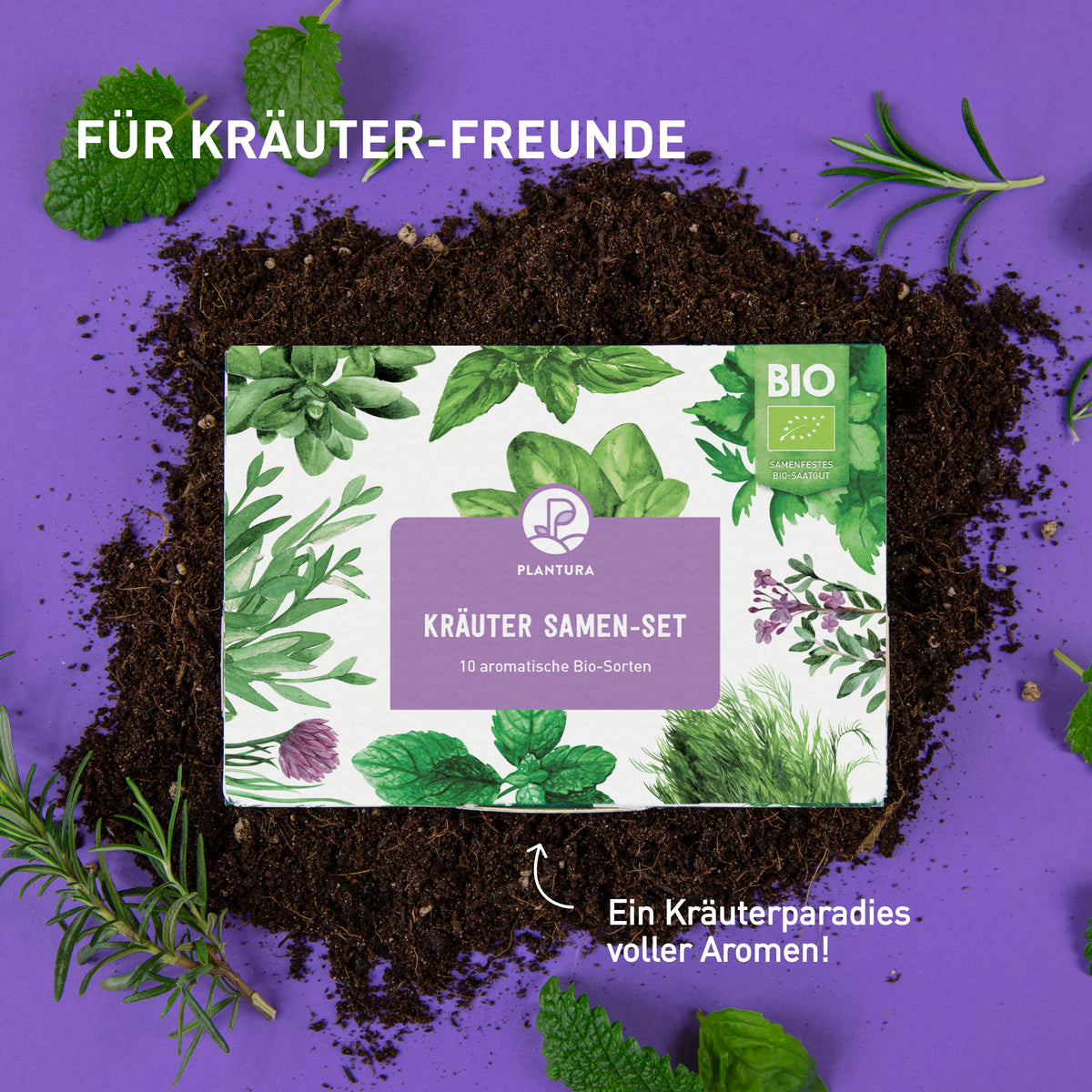 Kräutersamen im Saatgut-Set