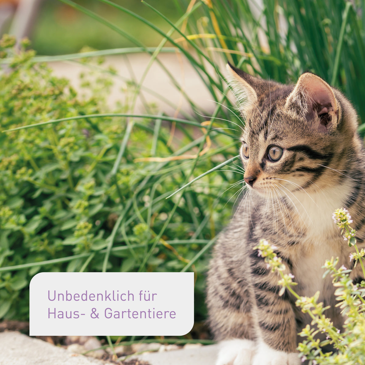 Bio-Kräutererde unbedenklich für Tiere