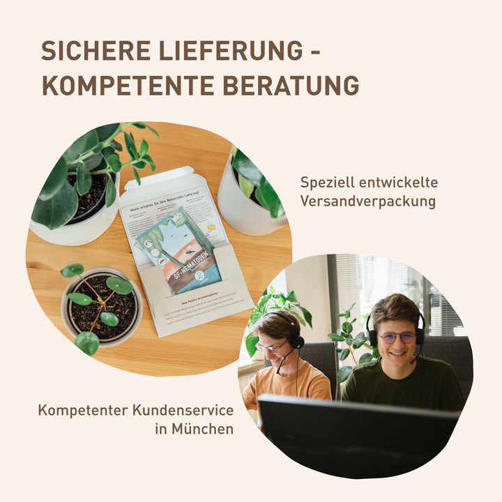 Kundenservice und Verpackung der SC-Nematoden gegen Buchsbaumzünsler
