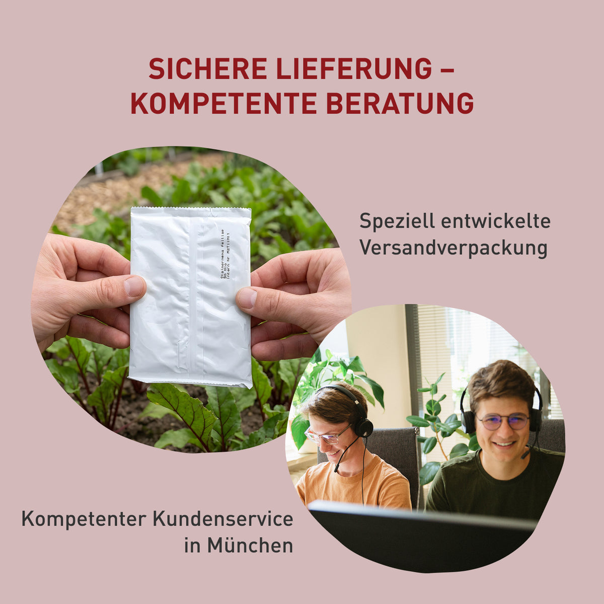 Kundenservice und Verpackung der SF-Nematoden gegen Ameisen