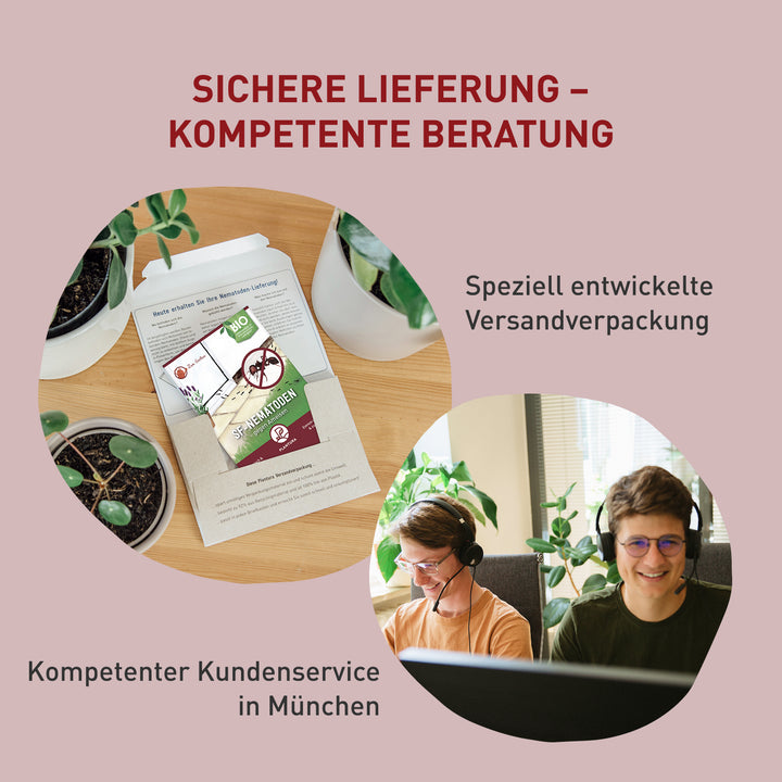 Kundenservice und Verpackung der SF-Nematoden gegen Ameisen
