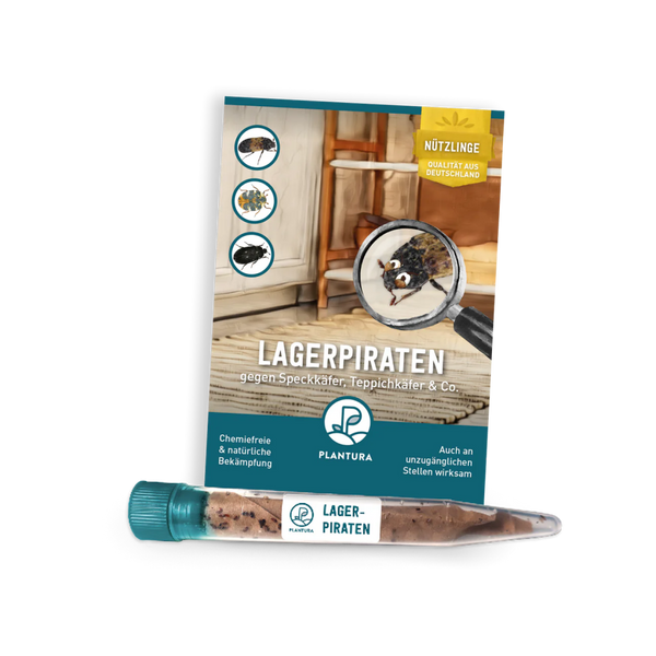 Lagerpiraten gegen Kleidermotten