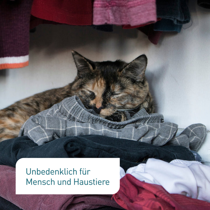 Katze schläft auf Kleiderstapel im Kleiderschrank