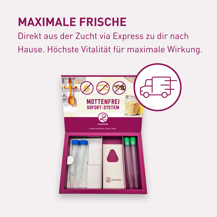 Frische Express-Lieferung gegen Lebensmittelmotten