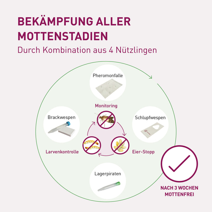 Bekämpfung von Lebensmittelmotten-Eiern, Larven und Faltern