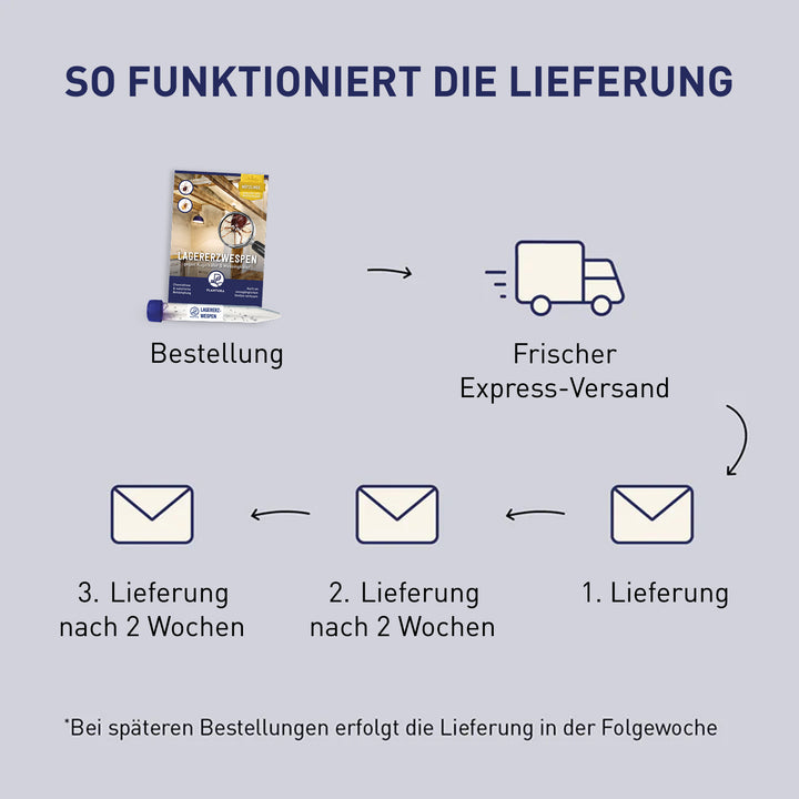 Lieferung der Lagererzwespen-Bestellung gegen Kugelkäfer