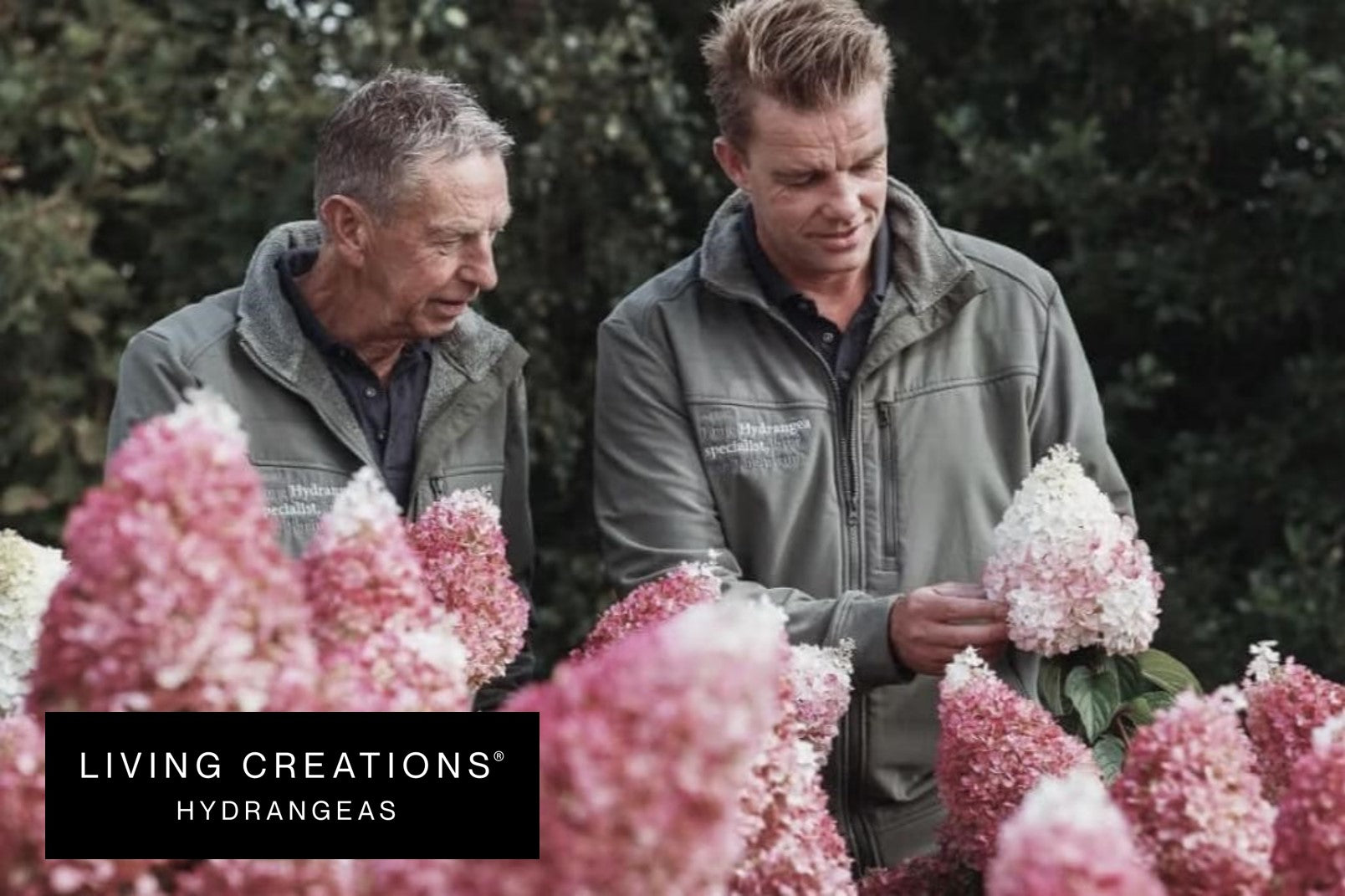 Alex Schoemaker und Jacques Schoemaker mit Rispenhortensien Living Creations