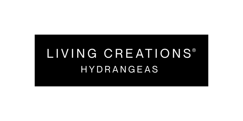 Logo Living Creations® Hydrangeas