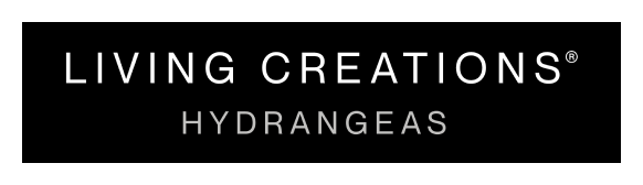 Logo Living Creations Hydrangeas