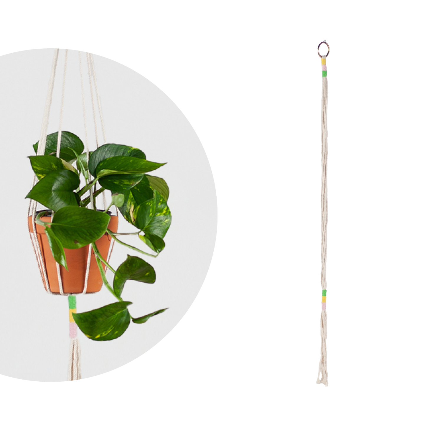 Makramee Blumenampel für Zimmerpflanzen