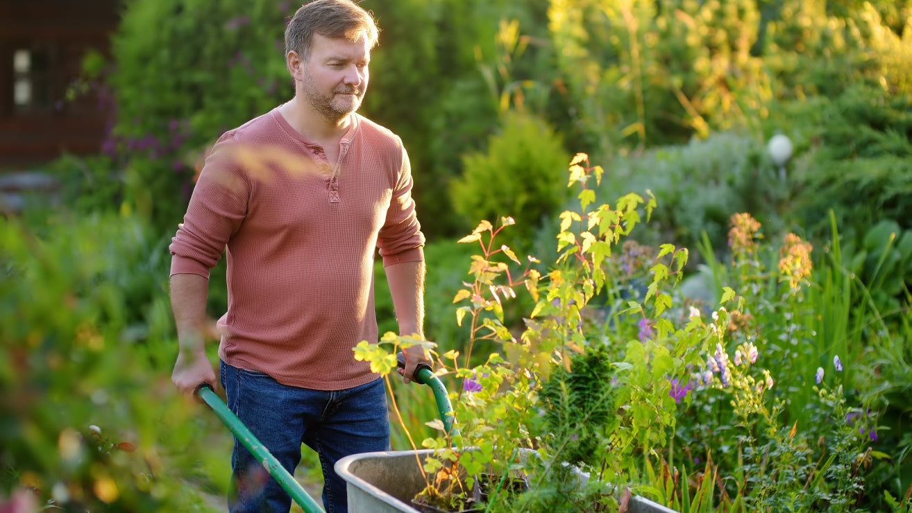 Mann schiebt eine Schubkarre bei der Gartenarbeit im Sommer