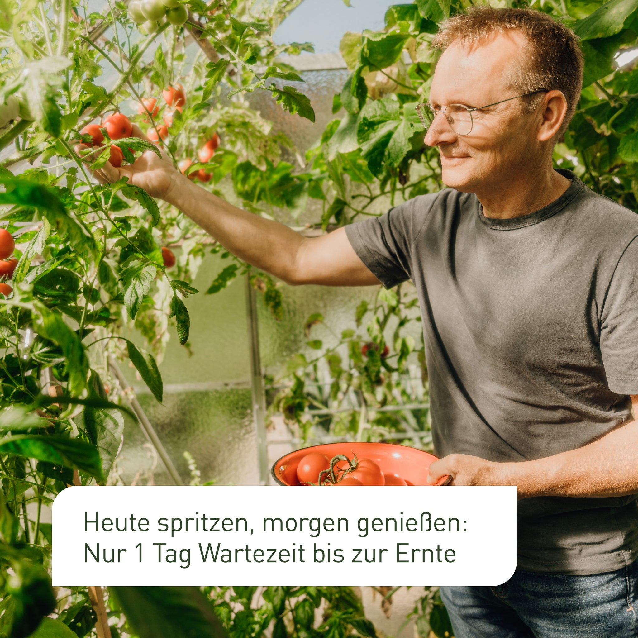 Mehltau-Bekämpfung mit nur einem Tag Wartezeit