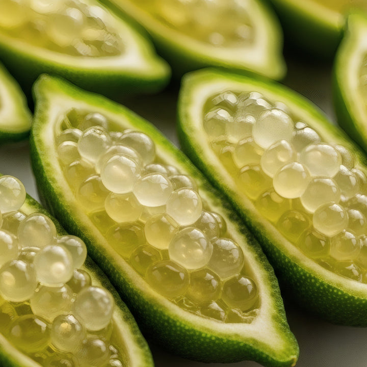 Microcitrus australasica 