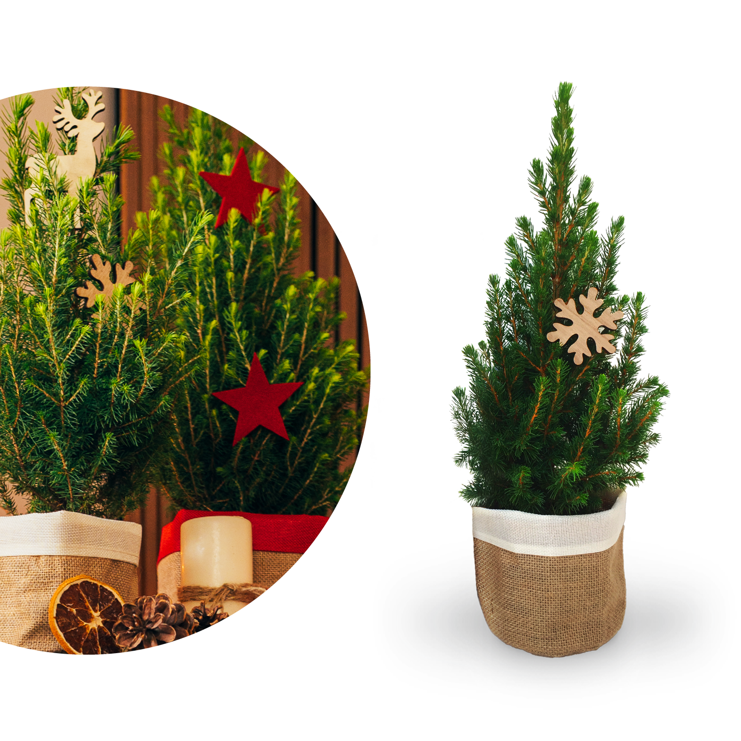 Großer Mini-Weihnachtsbaum mit Filz geschmückt