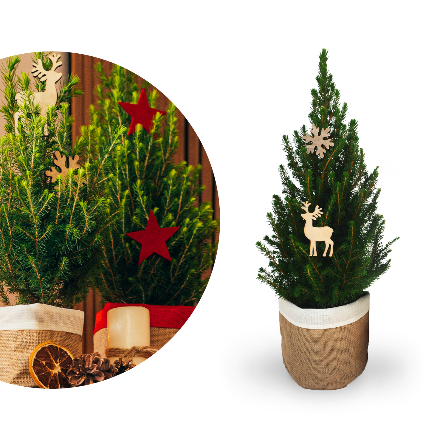Mini-Weihnachtsbaum geschmückt