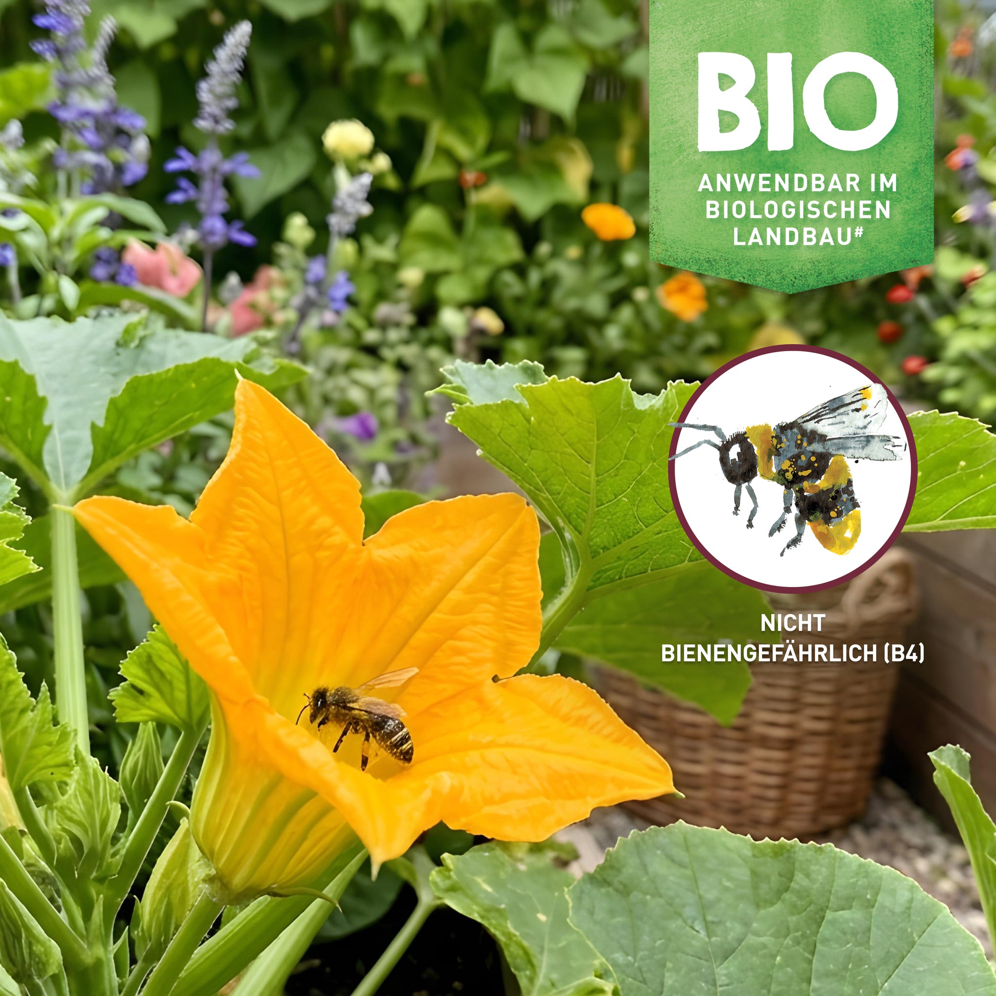Mittel gegen Mehltau anwendbar im biologischen Landbau
