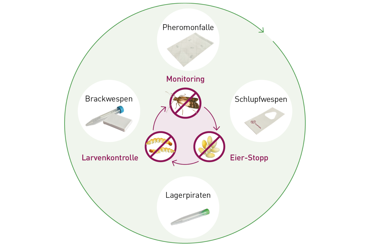 Mottenfrei Sofort-System bekämpft alle Mottenstadien