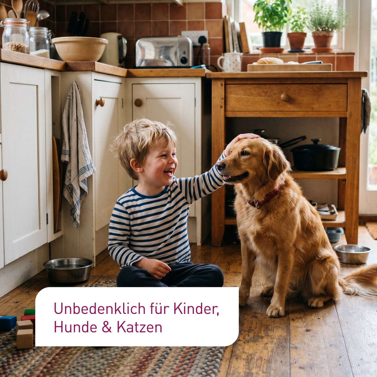 Unbedenkliches und biologisches Sofort-System gegen Lebensmittelmotten