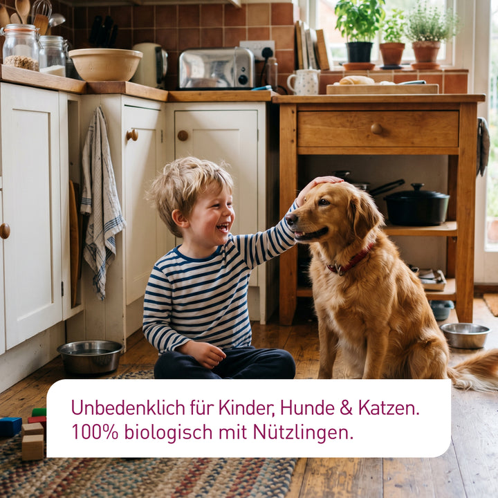 Unbedenkliches und biologisches Sofort-System gegen Lebensmittelmotten