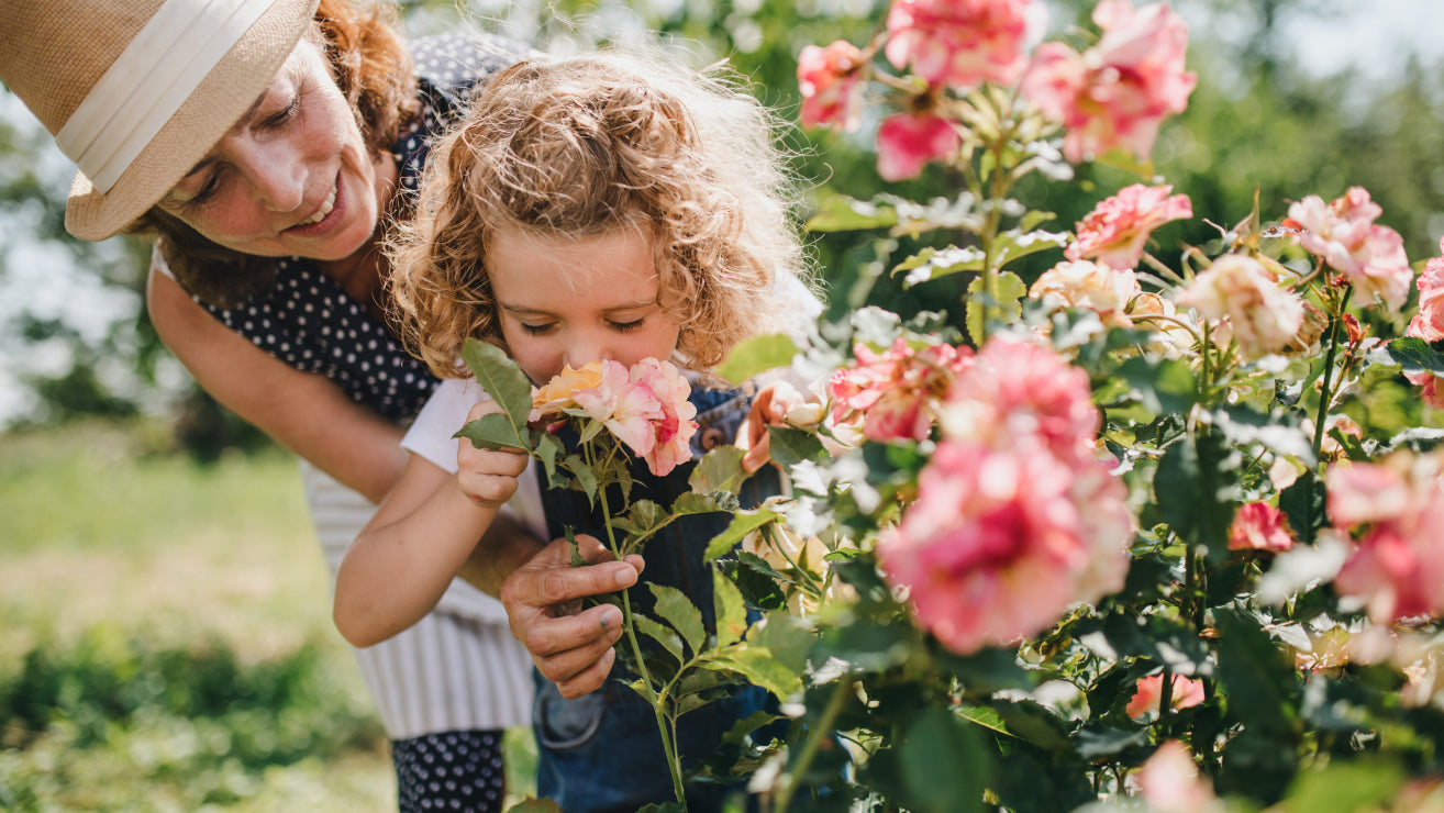 Mutter und kleines Kind riechen gemeinsam an rosa Rosen im Garten