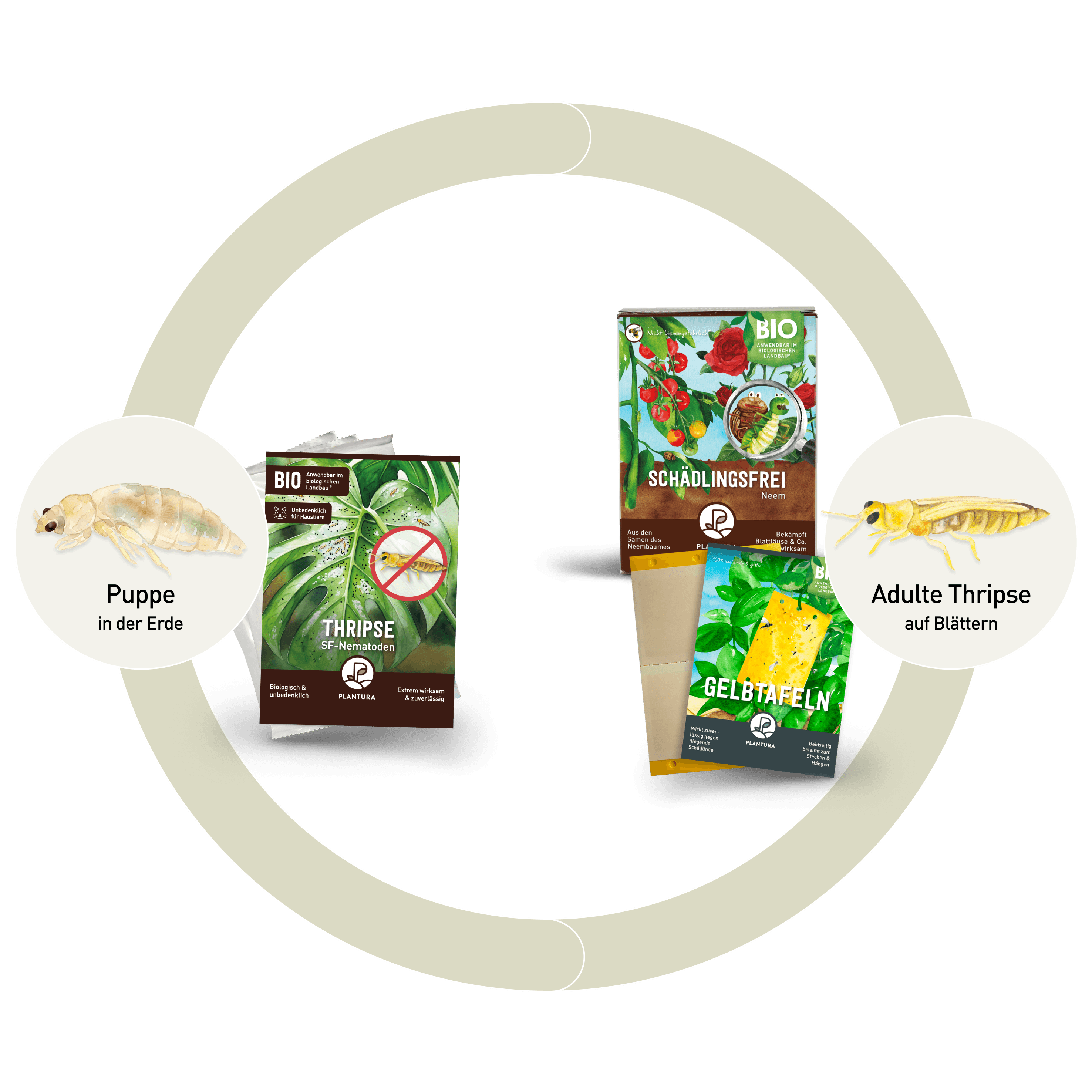 nematoden-thripse-neem-gelbtafeln