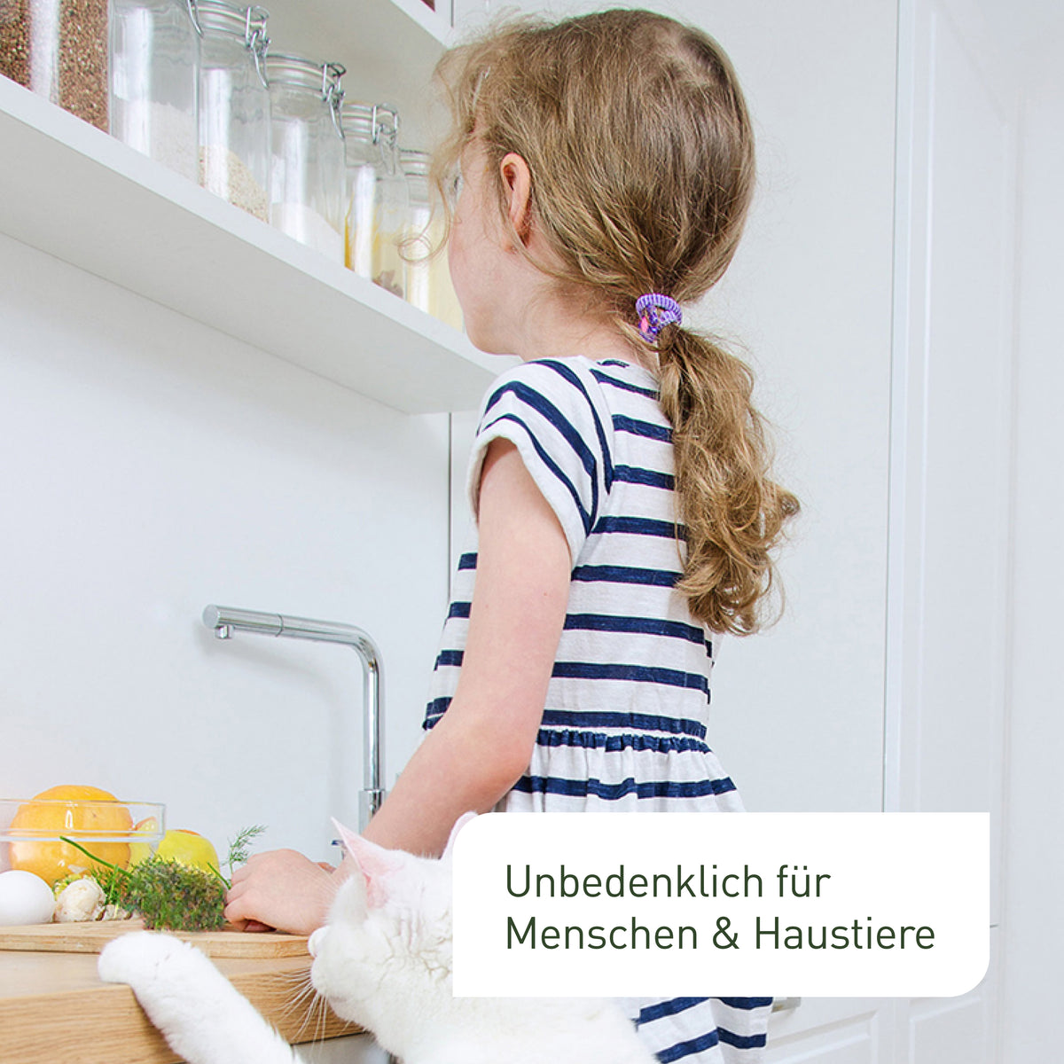 Unbedenkliche Lagererzwespen als Nützlinge gegen Kugelkäfer