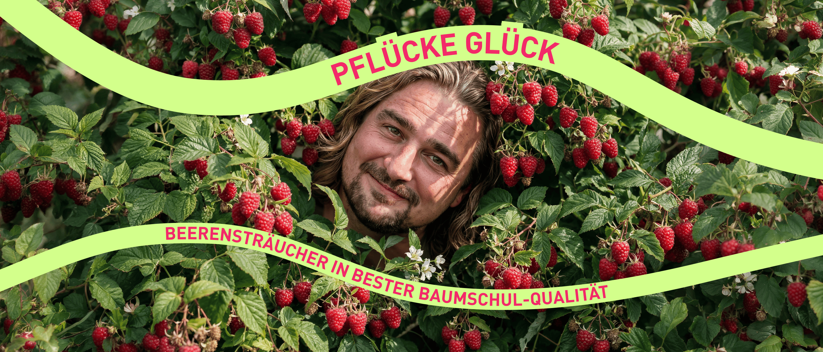 Beerensträucher von Plantura