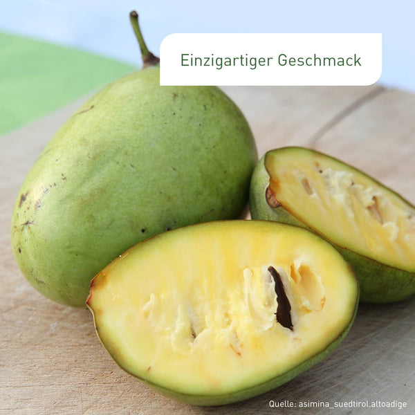 Aufgeschnittene Pawpaw Frucht