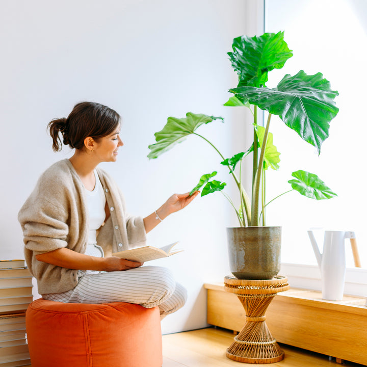 Frau mit Pfeilblatt im Wohnzimmer