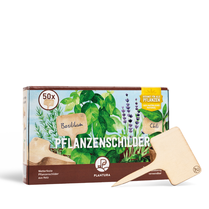 Pflanzenschilder aus Holz 50 Stück