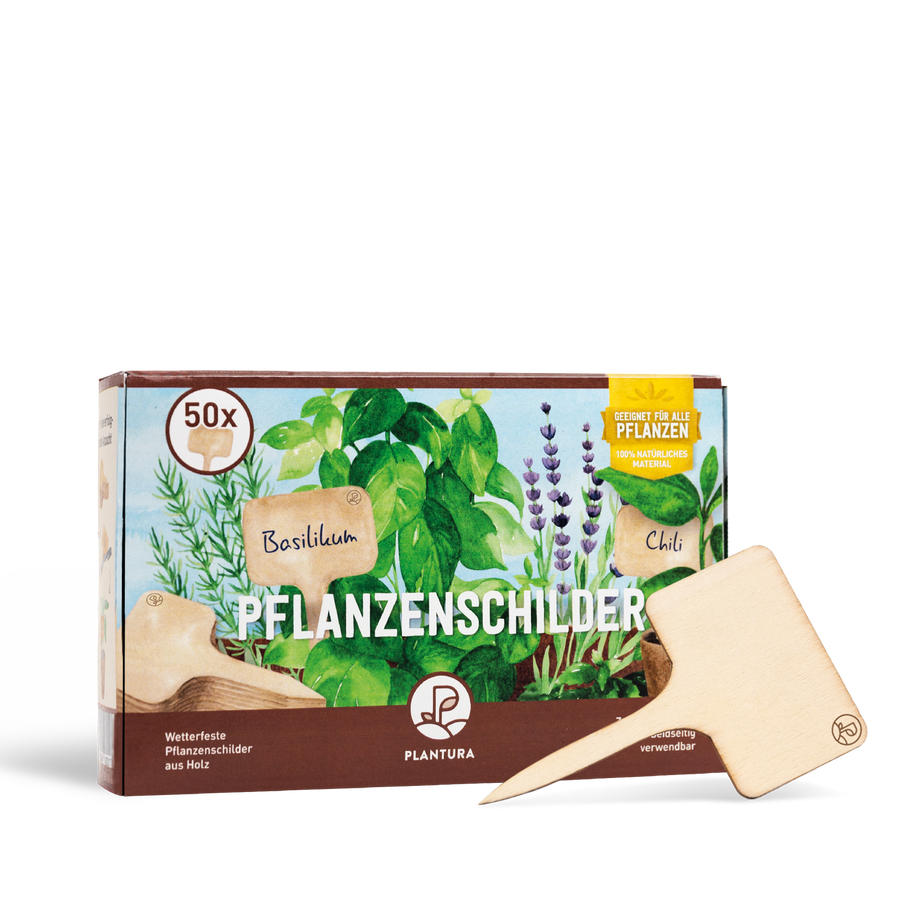 Pflanzenschilder aus Holz 50 Stück