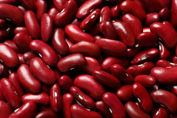 Phaseolus vulgaris 'Canadian Wonder'