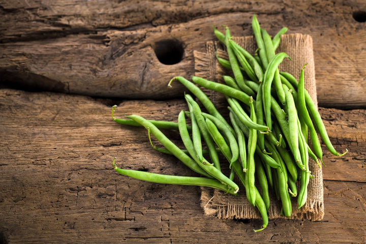 Phaseolus vulgaris var. nanus 'La Victoire'