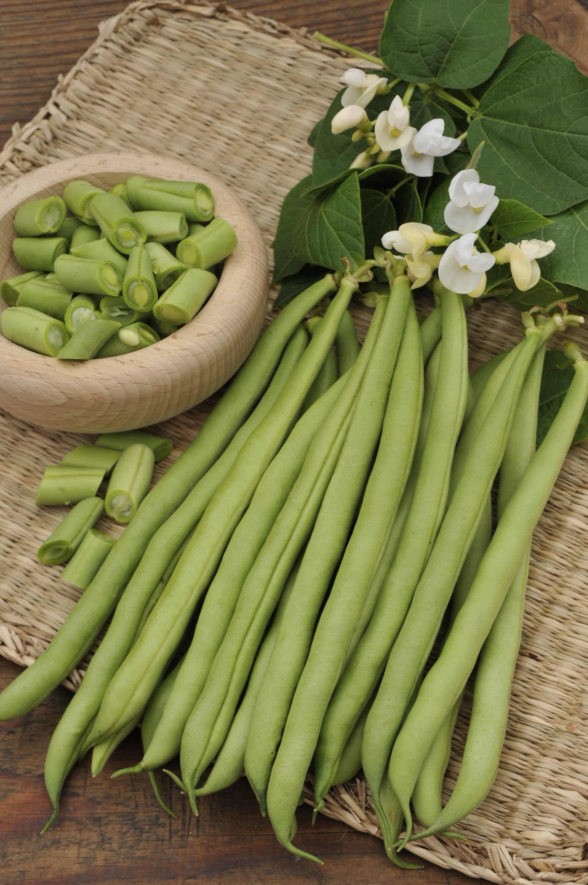 Phaseolus vulgaris var. vulgaris 'Neckarkönigin'